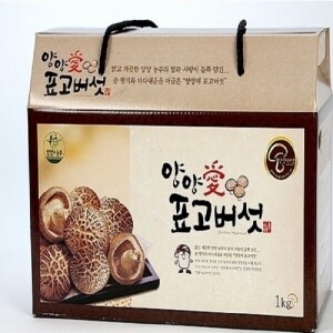 버섯조농장,버섯조농장[선물용] 박스 1kg, 2kg, 스치로폼 1kg, 2kg